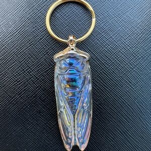 Iridescent Cicada Key Holder